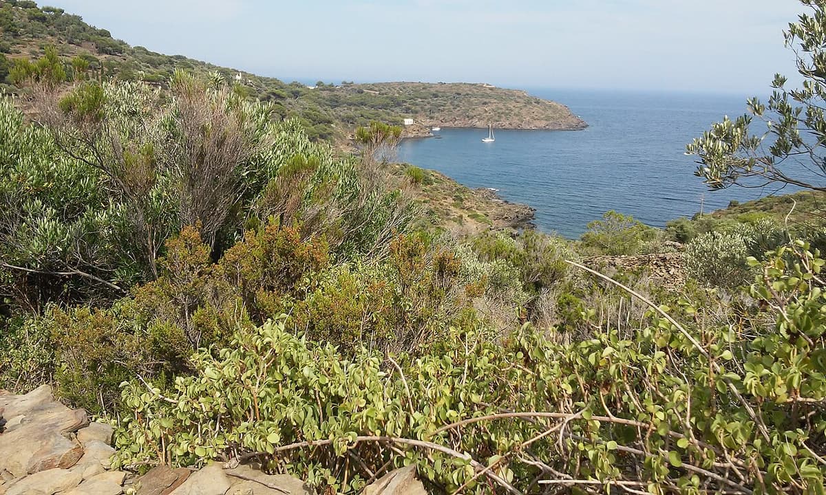 Camping Joncar Mar — Roses, Costa Brava