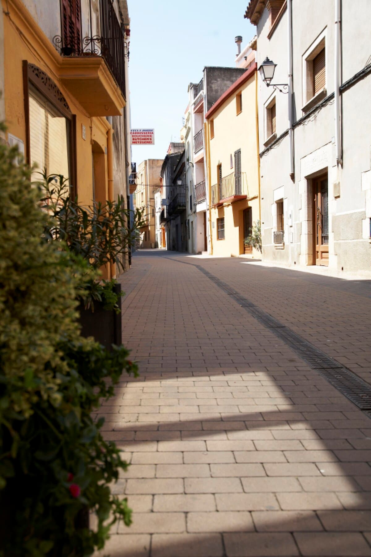 Camping La Ballena Alegre — Sant Pere Pescador, Costa Brava